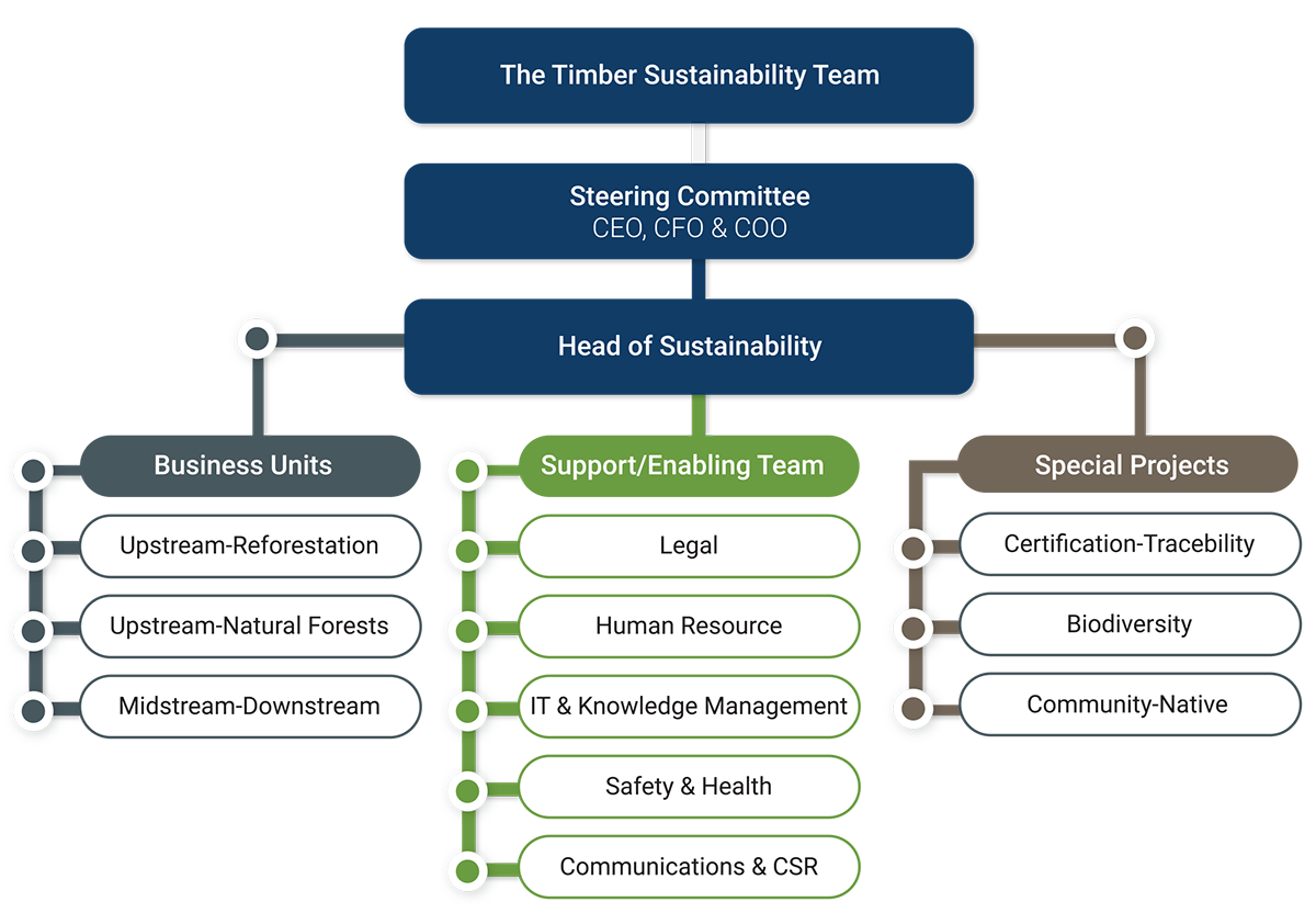 The Timber Sustainability Team